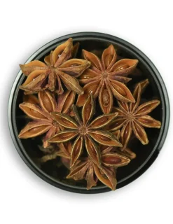 Anice Stellato Intero