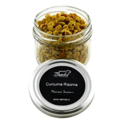 Curcuma Rizoma