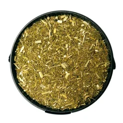 Finocchietto Selvatico Siciliano