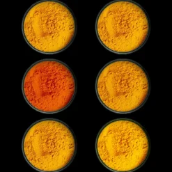 I 6 Curry più Famosi del Mondo