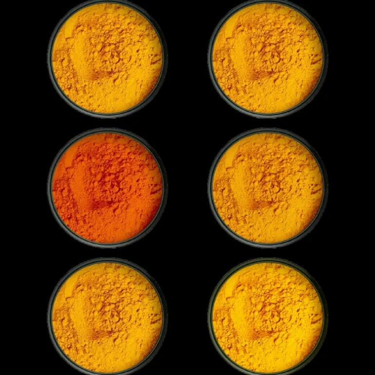 I 6 Curry più Famosi del Mondo