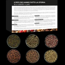 I 6 Pepi che hanno Fatto la Storia