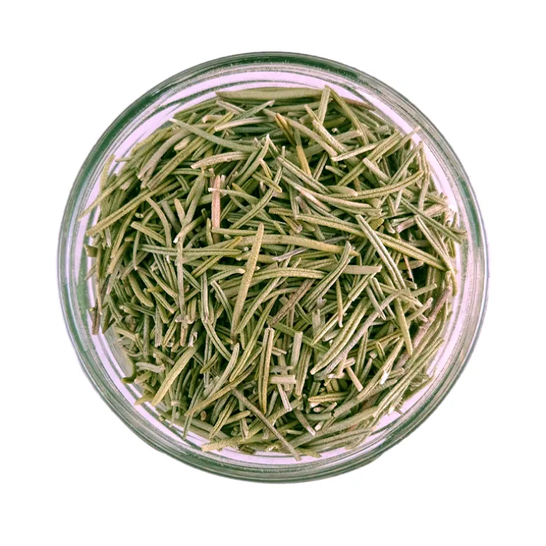 Rosmarino Siciliano - Bembo