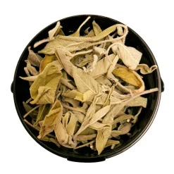 Salvia Siciliana Foglie