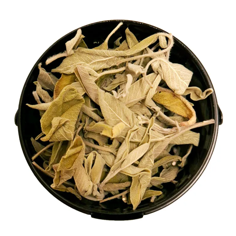 Salvia Siciliana Foglie