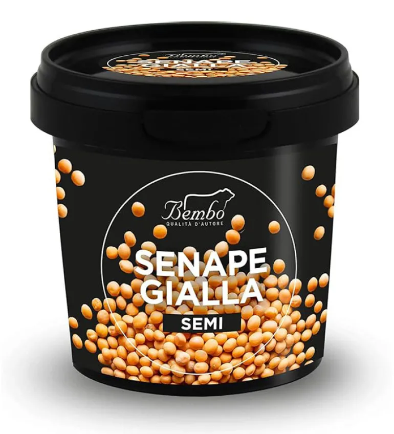 Senape Gialla in Semi