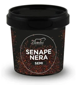 Senape Scura in Semi