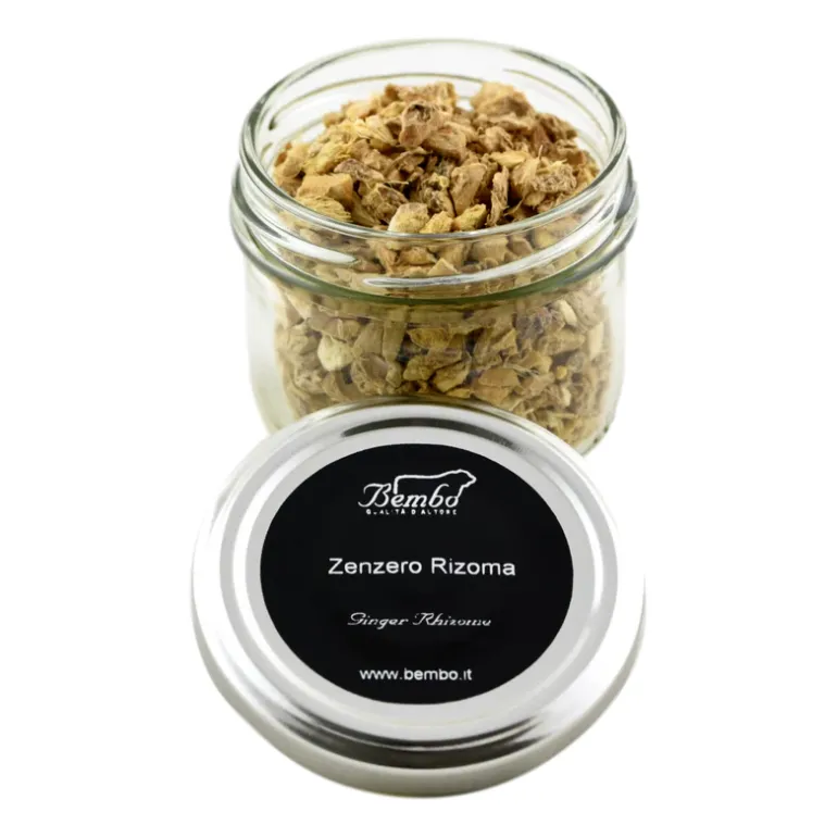 Zenzero rizoma